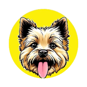 Tourist Token icon